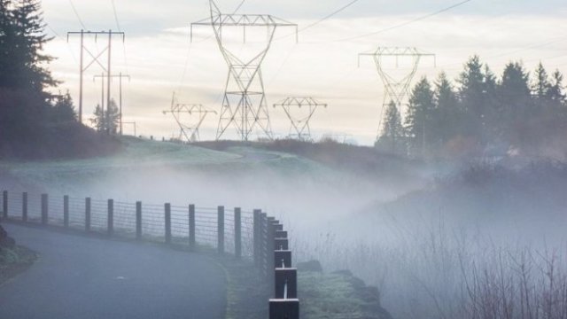 <p>
	<em>Снимка: Pixabay.com</em></p>
