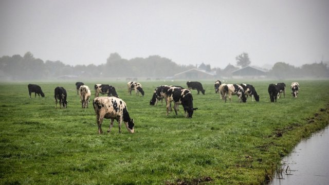 Снимка: Bloomberg LP