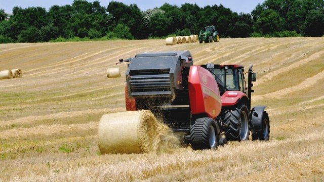 <p>
	<em>Снимка: Pixabay</em></p>
