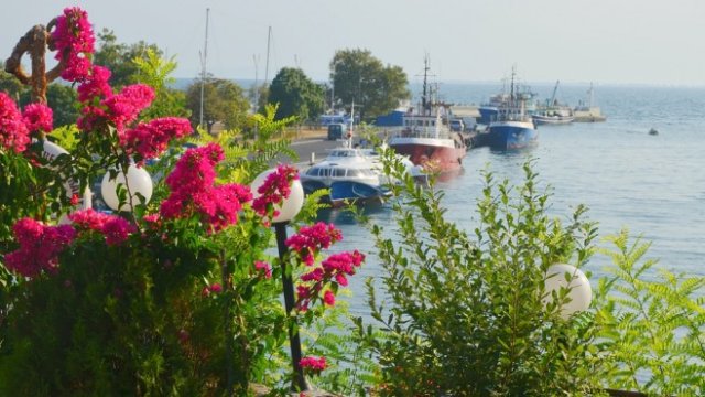 <p>
	<em>Снимка: Pixabay</em></p>
