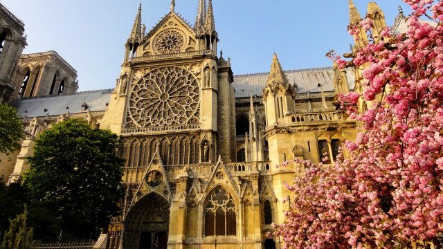 Снимка: Pixabay