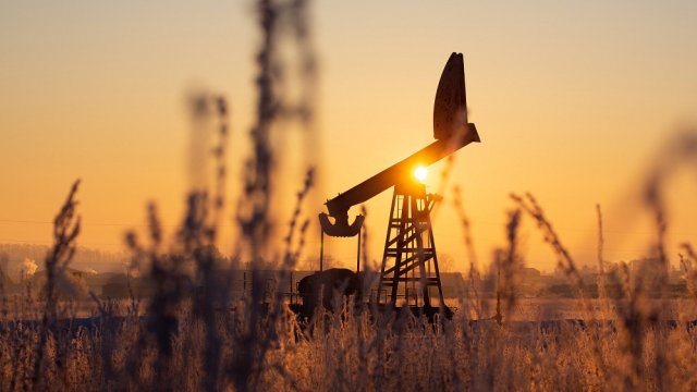 Снимка: Bloomberg LP