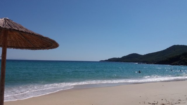 <p>
	<em>Снимка: Investor.bg</em></p>
