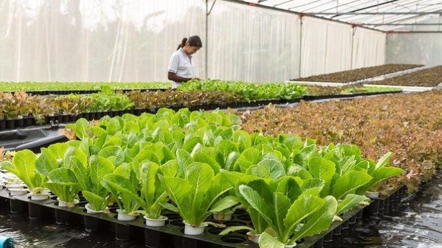 <p>
	<em>Снимка: Bloomberg</em></p>
