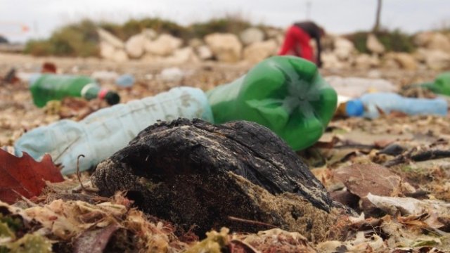 <p>
	<em>Снимка: БГНЕС</em></p>
