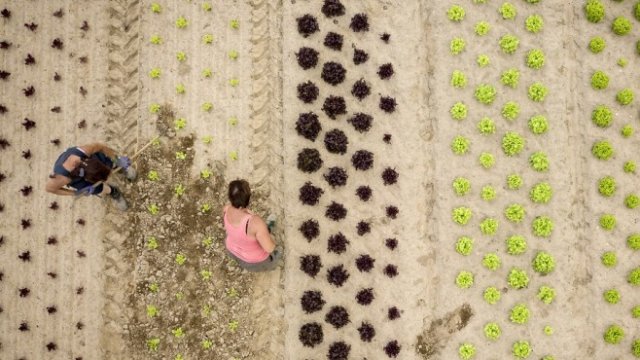 <p>
	Снимка: Getty Images</p>
