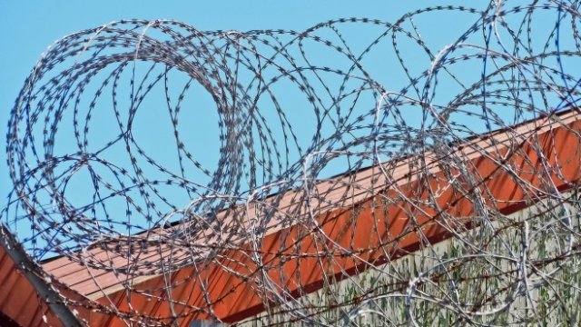 <p>
	<em>Снимка: Pixabay</em></p>
