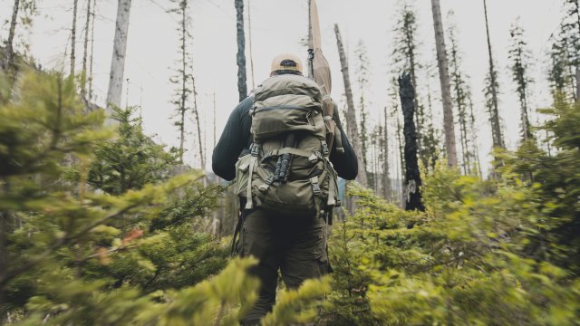 Снимка: unsplash.com