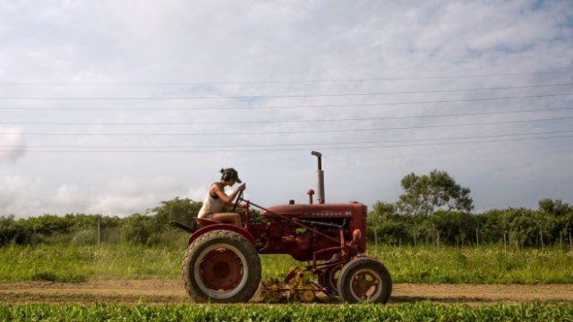 <p>
	<em>Снимка: Ройтерс</em></p>
