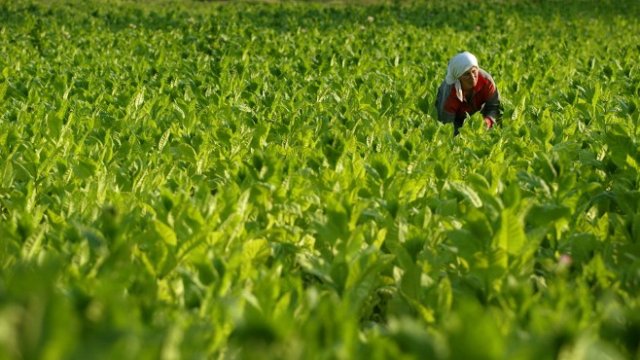 <p>
	<em>Снимка: Ройтерс</em></p>
