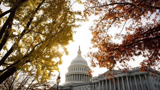 Снимка: Bloomberg L.P.