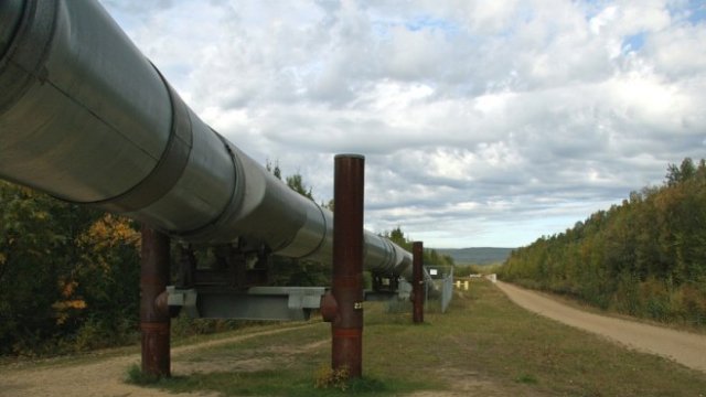 <p>
	<em>Снимка: Pixabay</em></p>
