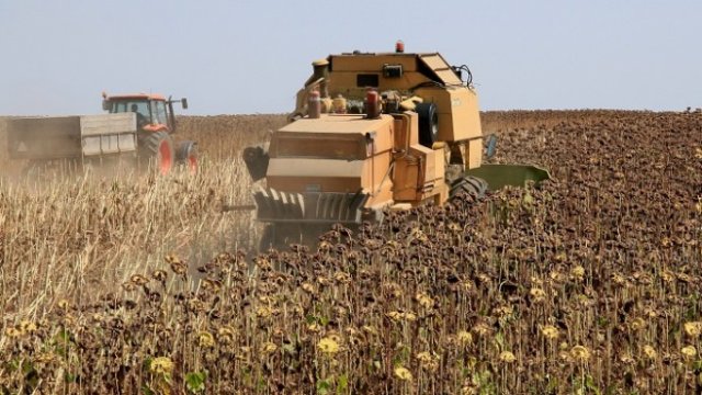 <p>
	<em>Снимка: БТА</em></p>
