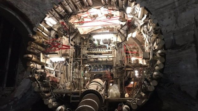 <p>
	<em>Снимка:&nbsp;https://twitter.com/elonmusk</em></p>
