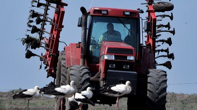 <p>
	<em>Снимка: архив, БТА</em></p>
