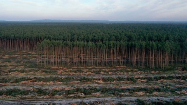 <p>
	<em>Снимка: Liesa Johannssen-Koppitz/Bloomberg</em></p>
