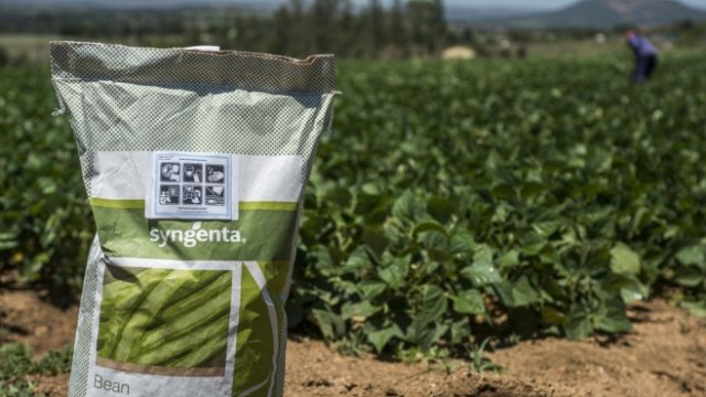 <p>
	<em>Снимка: Waldo Swiegers/Bloomberg</em></p>
