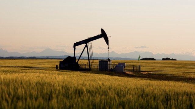 <p>
	<em>Снимка: Ройтерс</em></p>
