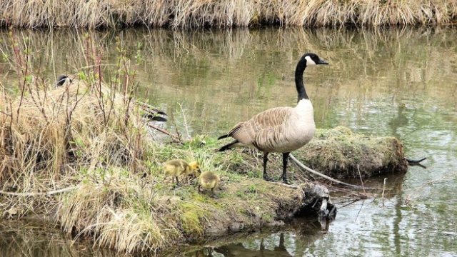 <p>
	<em>Снимка: Pixabay</em></p>
