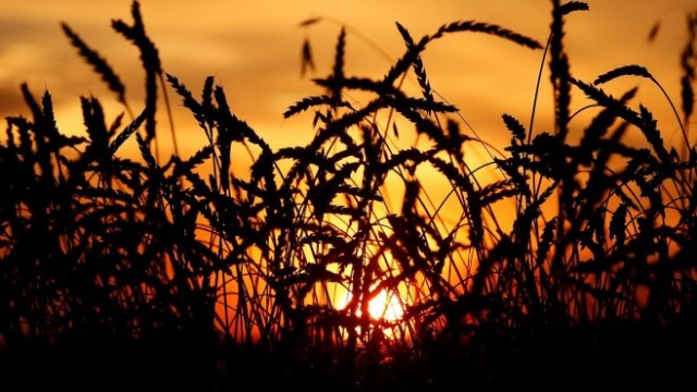 <p>
	<em>Снимка: Архив Ройтерс</em></p>
