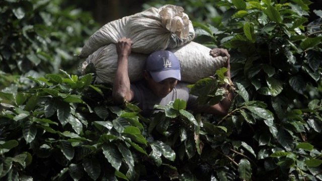 <p>
	<em>Снимка: Архив Ройтерс</em></p>
