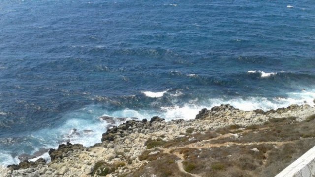 <p>
	<em>Снимка: Investor.bg</em></p>
