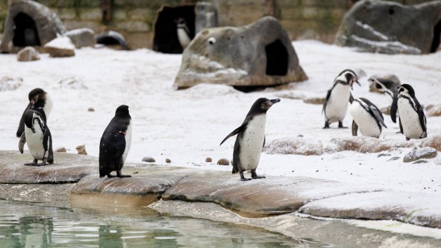 Снимка: БГНЕС/ЕРА