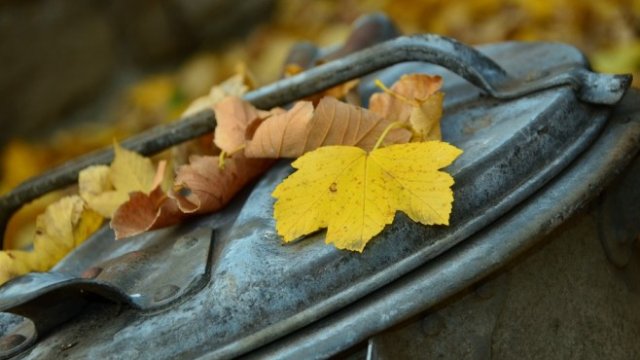 <p>
	<em>Снимка: Pixabay</em></p>
