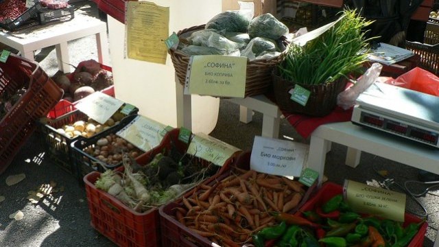 <p>
	<em>Снимка: Investor.bg</em></p>
