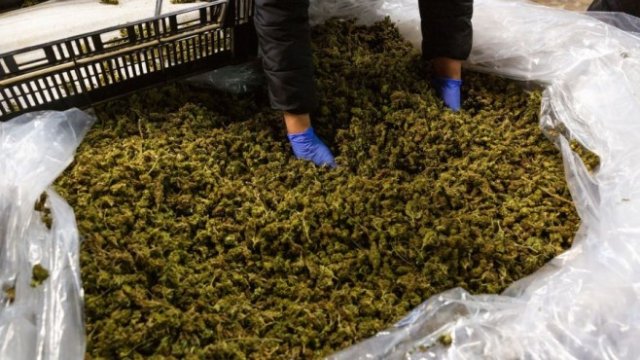 <p>
	<em>Снимка: Bloomberg LP</em></p>
