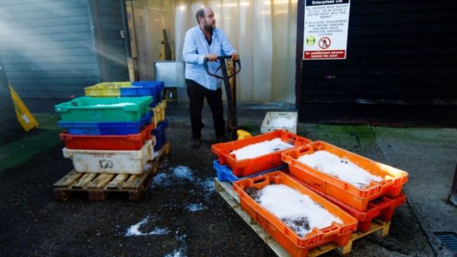 <p>
	<em>Снимка: Luke MacGregor/Bloomberg</em></p>
