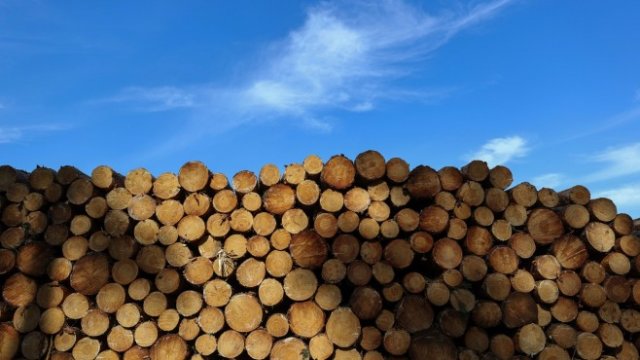 <p>
	<em>Снимка:&nbsp;Alex Kraus/Bloomberg</em></p>
