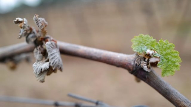 <p>
	<em>Снимка: EPA/SYLVAIN THOMAS / POOL MAXPPP OUT</em></p>
