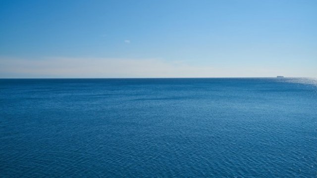 <p>
	<em>Снимка: Pixabay</em></p>
