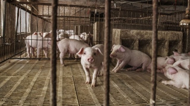 <p>
	<em>Снимка: Bloomberg</em></p>
