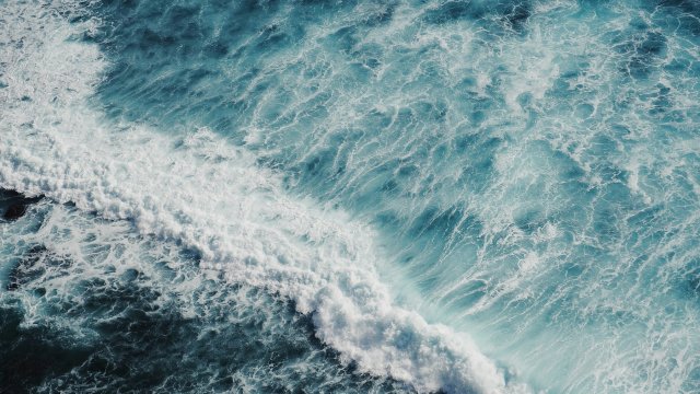 Снимка: unsplash.com