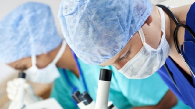 <p>
	<em>Снимка: Pixabay</em></p>
