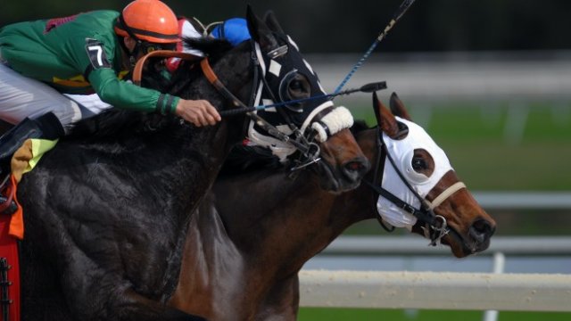 <p>
	<em>Снимка: <a href="https://unsplash.com/@grifjef?utm_source=unsplash&amp;utm_medium=referral&amp;utm_content=creditCopyText">Jeff Griffith</a>&nbsp;on&nbsp;<a href="https://unsplash.com/s/photos/horse-race?utm_source=unsplash&amp;utm_medium=referral&amp;utm_content=creditCopyText">Unsplash</a></em></p>
