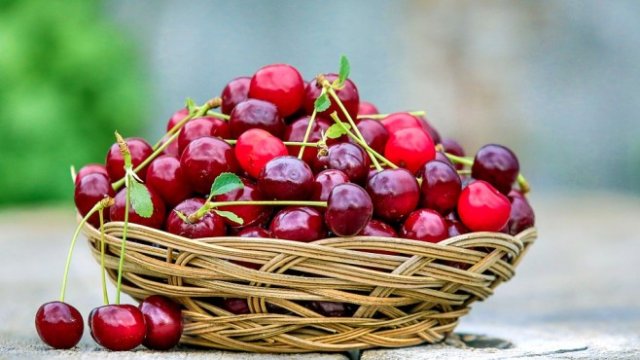 <p>
	<em>Снимка: Pixabay</em></p>
