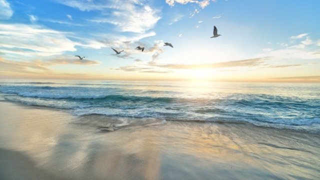 <p>
	<em>Снимка: Pixabay</em></p>
