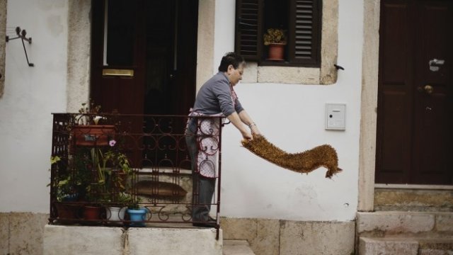 <p>
	<em>Снимка: Архив Ройтерс</em></p>
