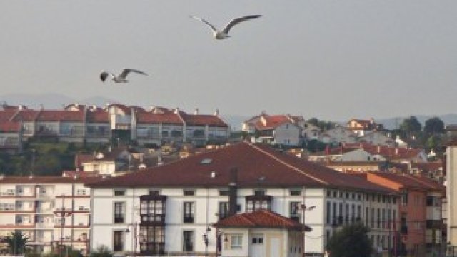 <p>
	<em>Снимка: Pixabay.com</em></p>
