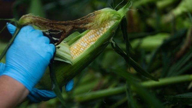 <p>
	<em>Снимка: Bloomberg L.P.</em></p>
