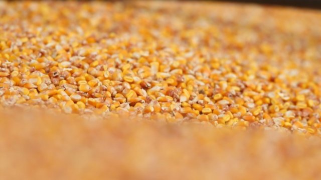 <p>
	<em>Снимка: Bloomberg LP</em></p>
