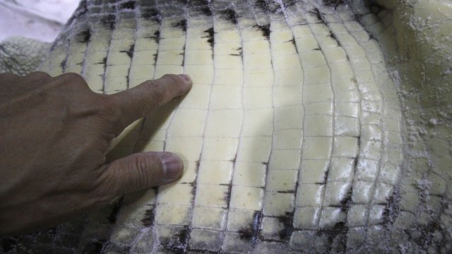 <p>
	<em>Снимка: архив Ройтерс</em></p>
