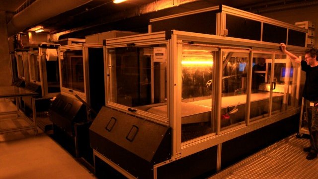 <p style="margin-bottom: 0cm">
	Белгийската компания Materialise, която е оператор на най-големия европейски 3D принтер, също има запазени патентни права. <em>Снимка: архив Ройтерс</em></p>
