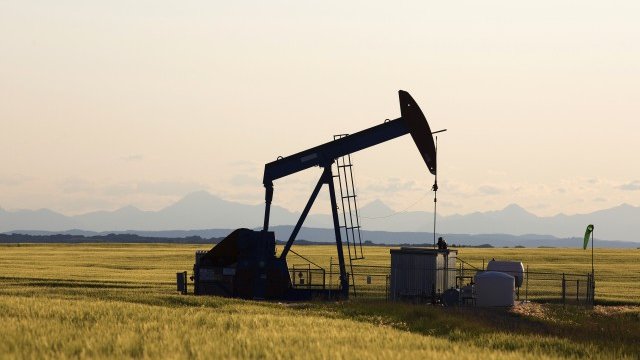 <p>
	<em>Снимка: Ройтерс</em></p>
