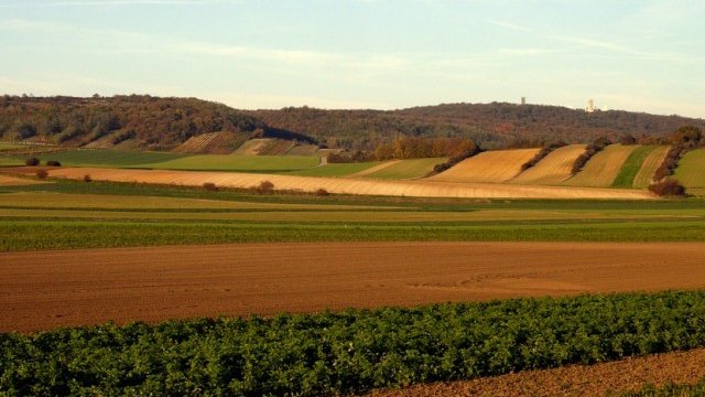 <p>
	<em>Снимка: Pixabay</em></p>
