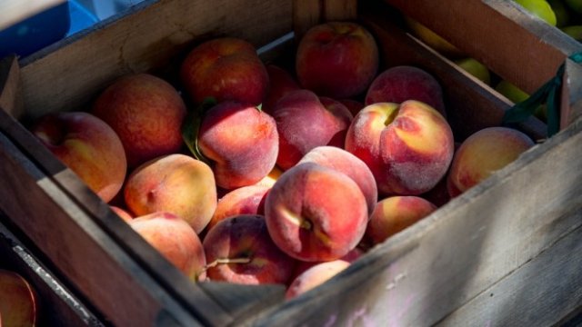 <p>
	<em>Снимка: Pixabay</em></p>
