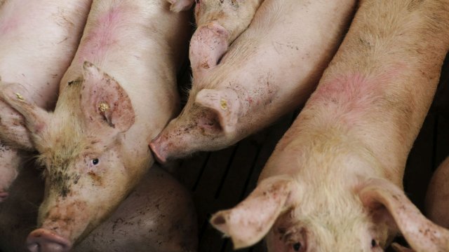 Снимка: Bloomberg LP